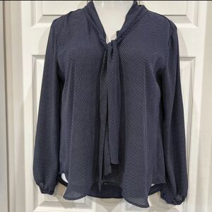 Loft Blue White Polka Dot Chiffon Blouse Large